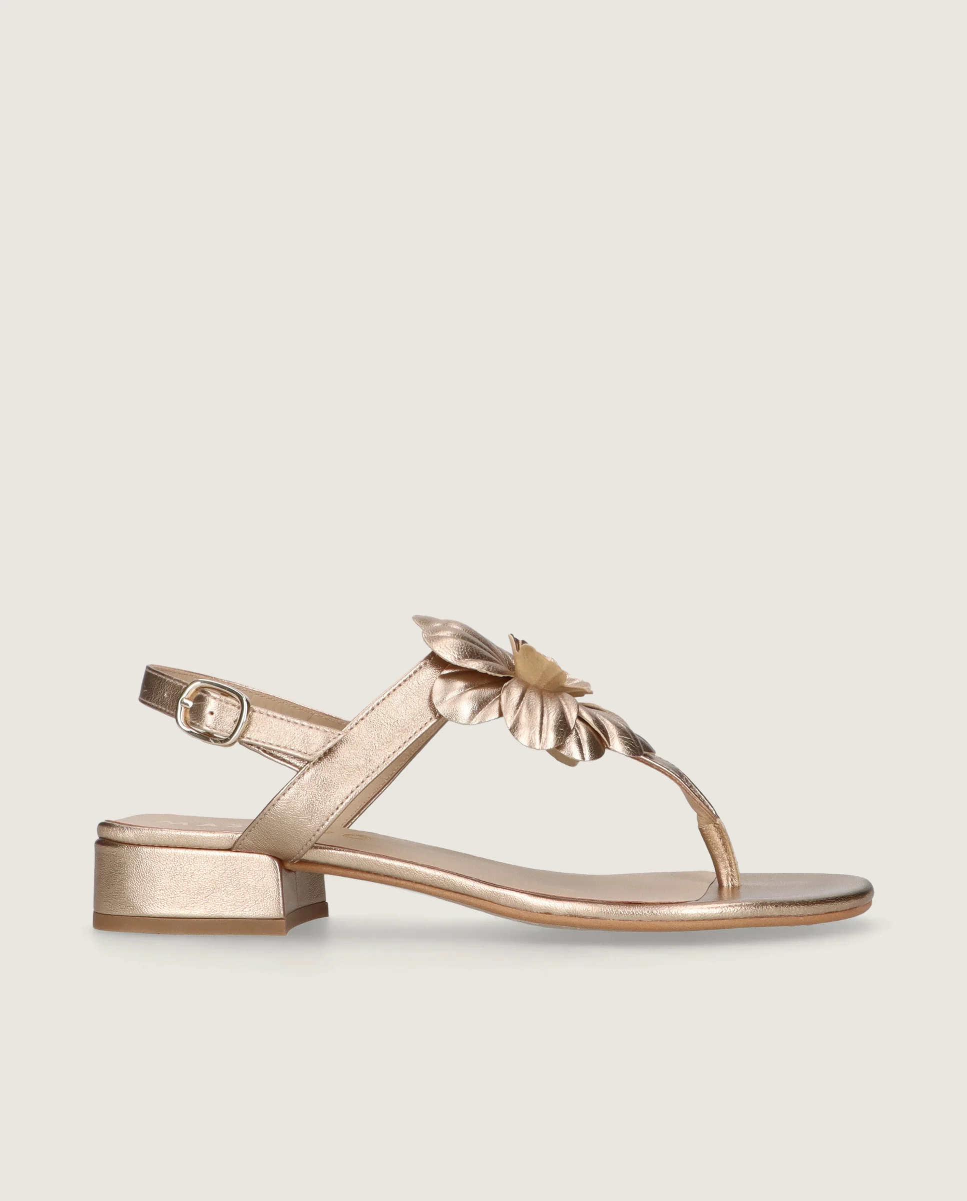Sandalias Amelie Rosas Piel - Image 3